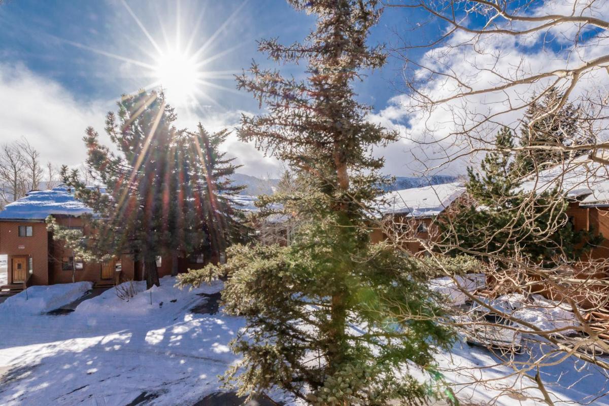 Snowflower 12 Mammoth Lakes Luaran gambar